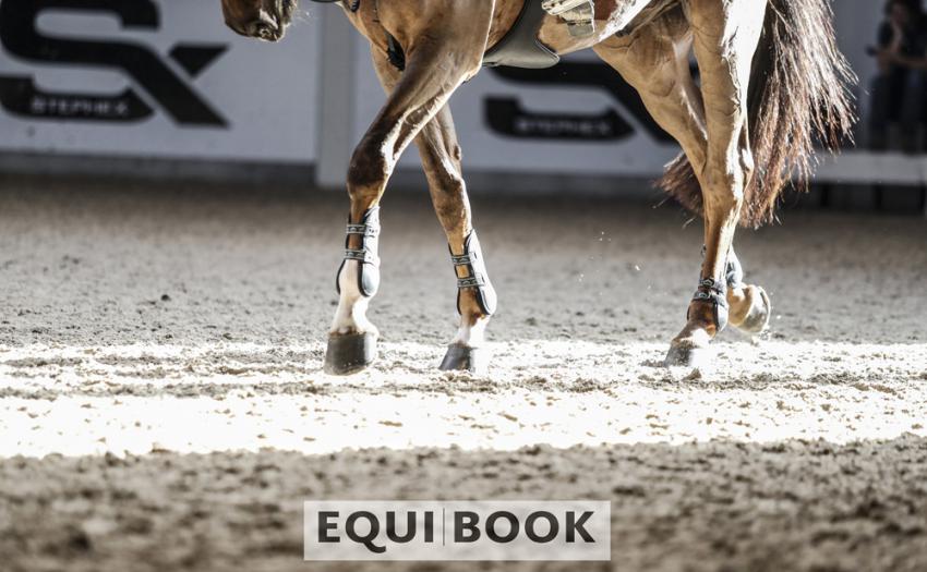Indoor Tour CSI Lier 2019