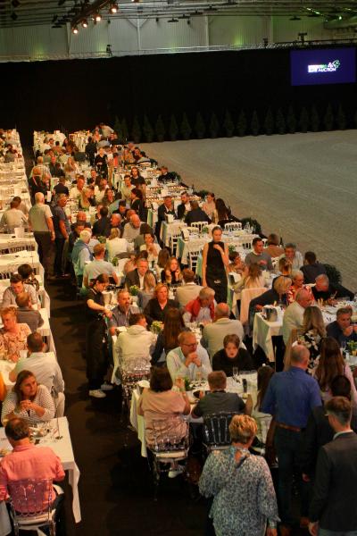 Horseman Elite Auction 2021