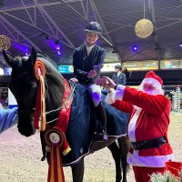 X-MAS TOUR CSI2*1*YH Lier 5-15 December